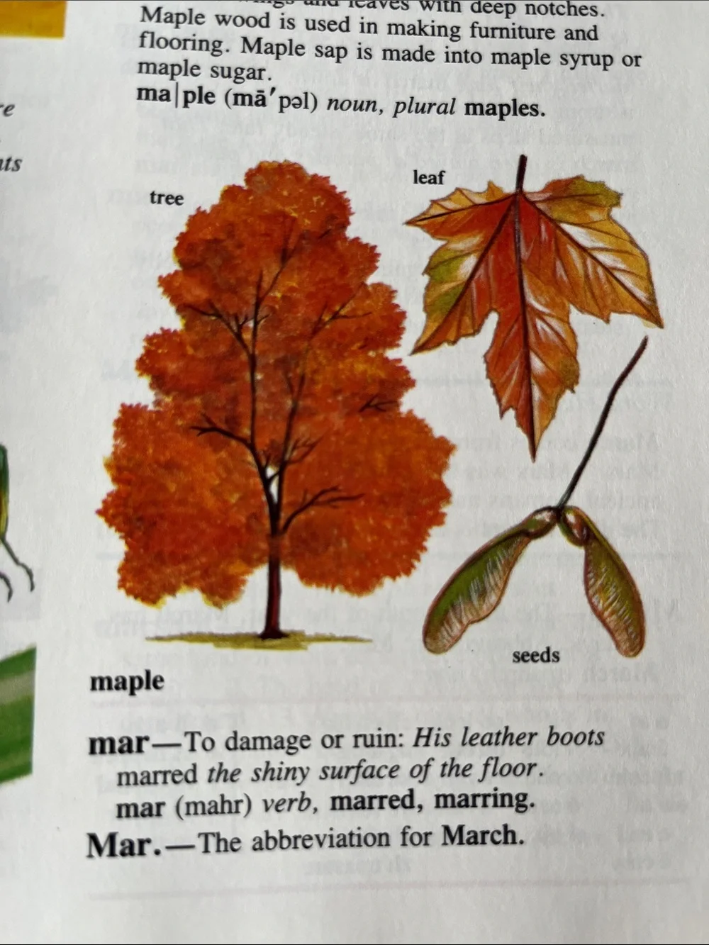 Vtg World Book Childcraft Dictionary Hardcover Book Illustrated Copyright 1989